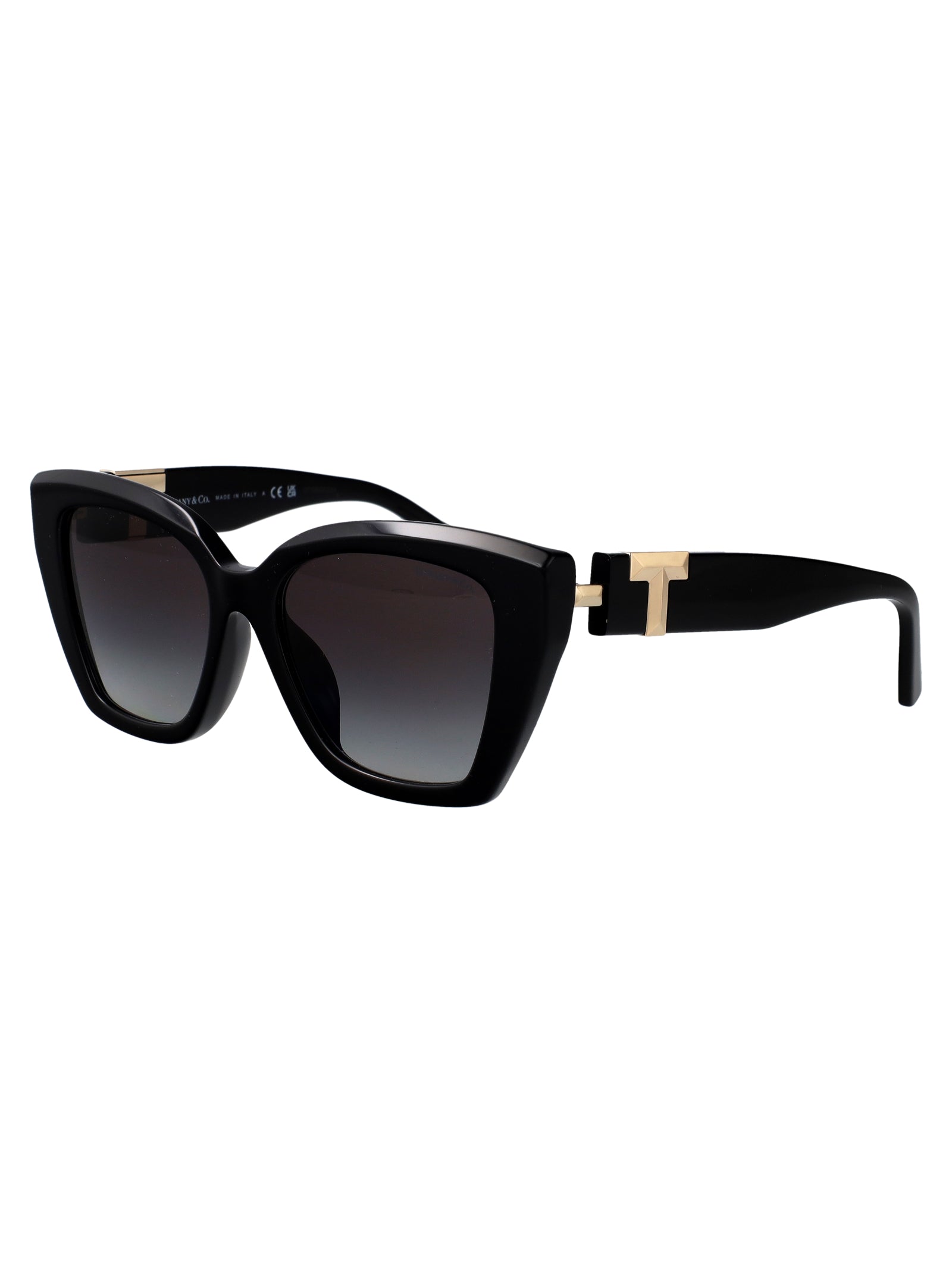 TIFFANY & CO Chic Acetate Sunglasses for Women - FW25 Collection - Banlieue91 -