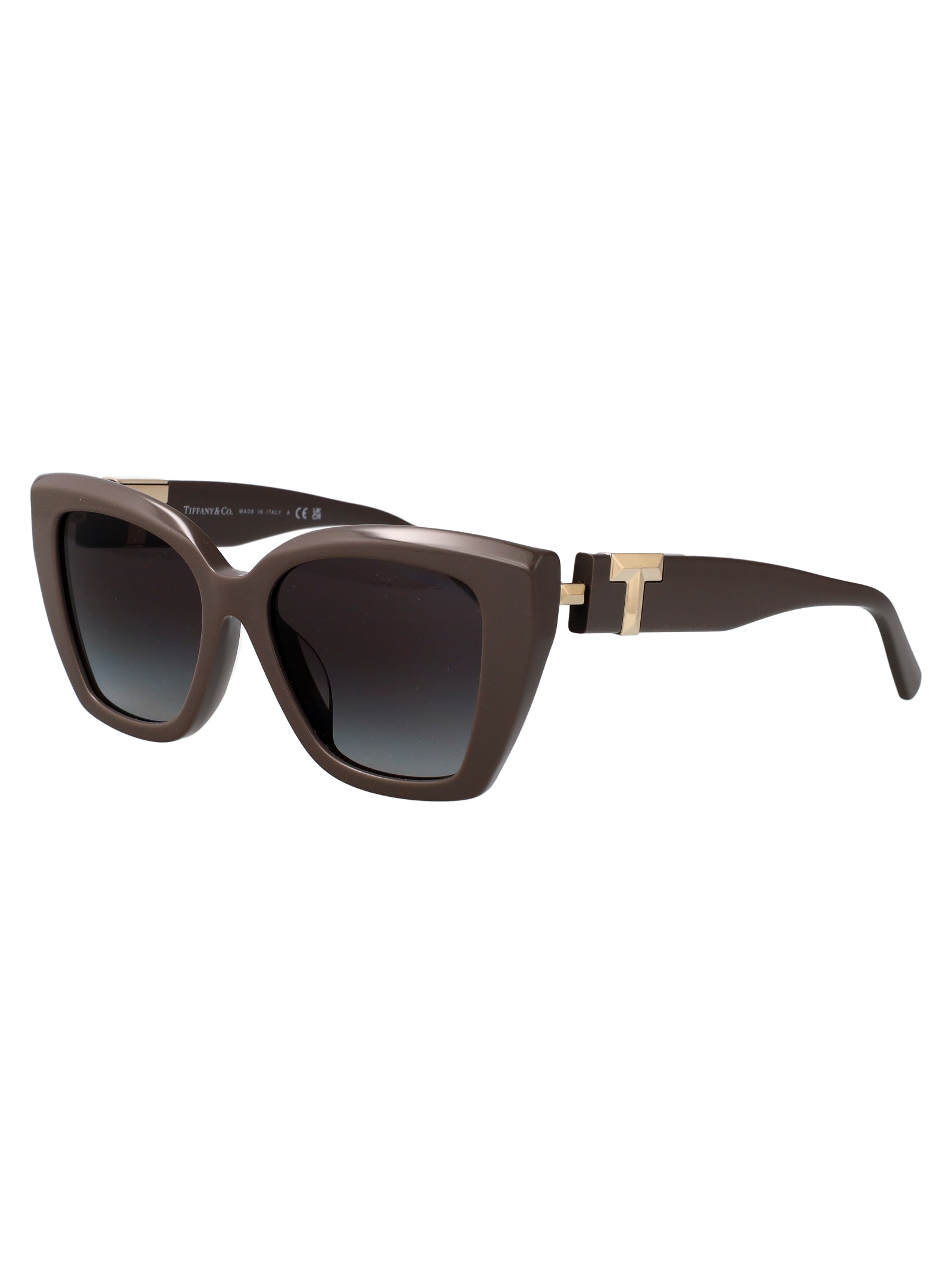 TIFFANY & CO Luxury Acetate Sunglasses for Women - Banlieue91 -