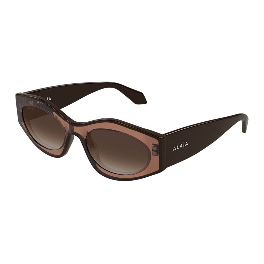 ALAIA Elegant Women’s Sunglasses - Stylish Oversized Frame - Banlieue91 -