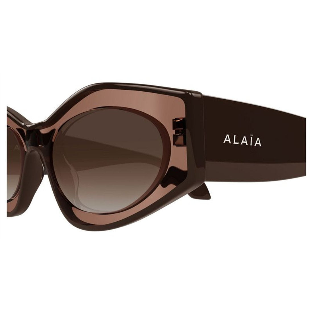 ALAIA Elegant Women’s Sunglasses - Stylish Oversized Frame - Banlieue91 -