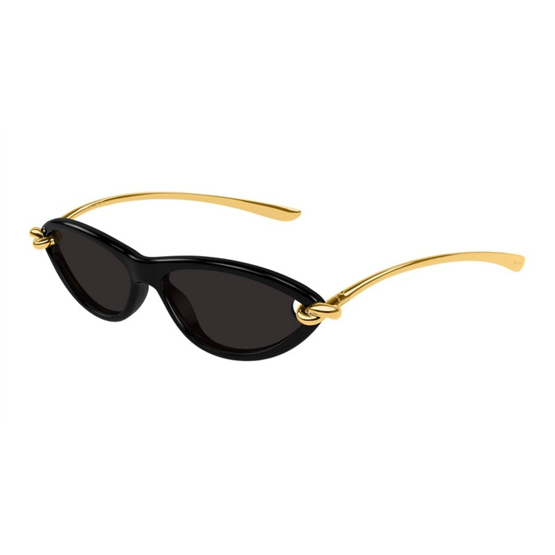 BOTTEGA VENETA Injected Fashion Sunglasses for Women - Banlieue91 -