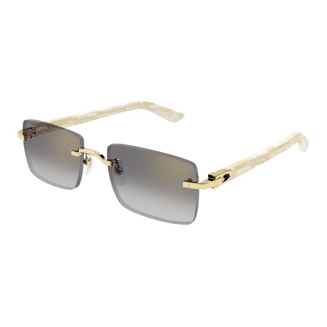 CARTIER CT0579S Mini Designer Sunglasses for Men - Banlieue91 -