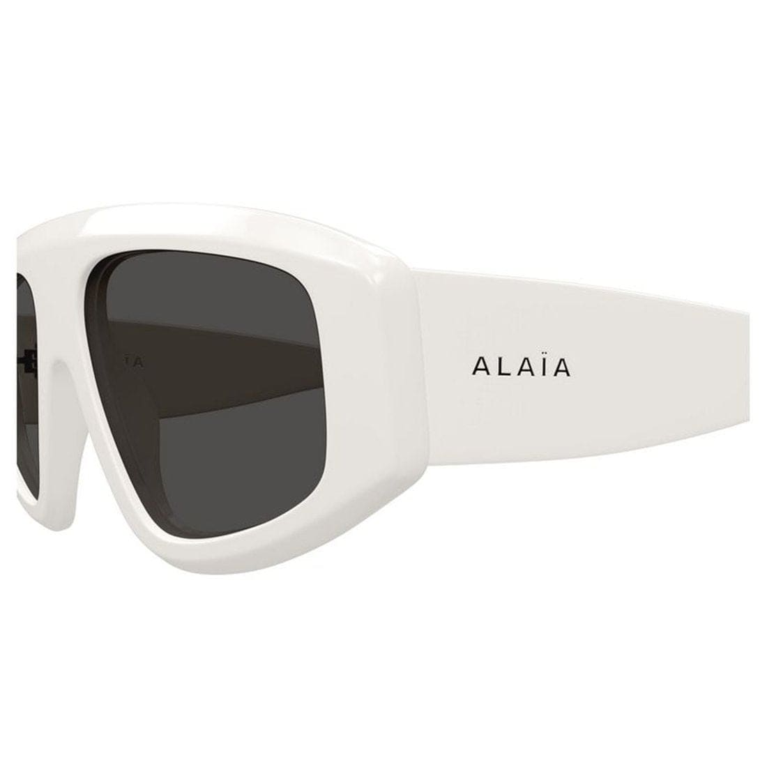 ALAIA Stylish Women's Sunglasses - AA0092S Mini Frame | Banlieue91