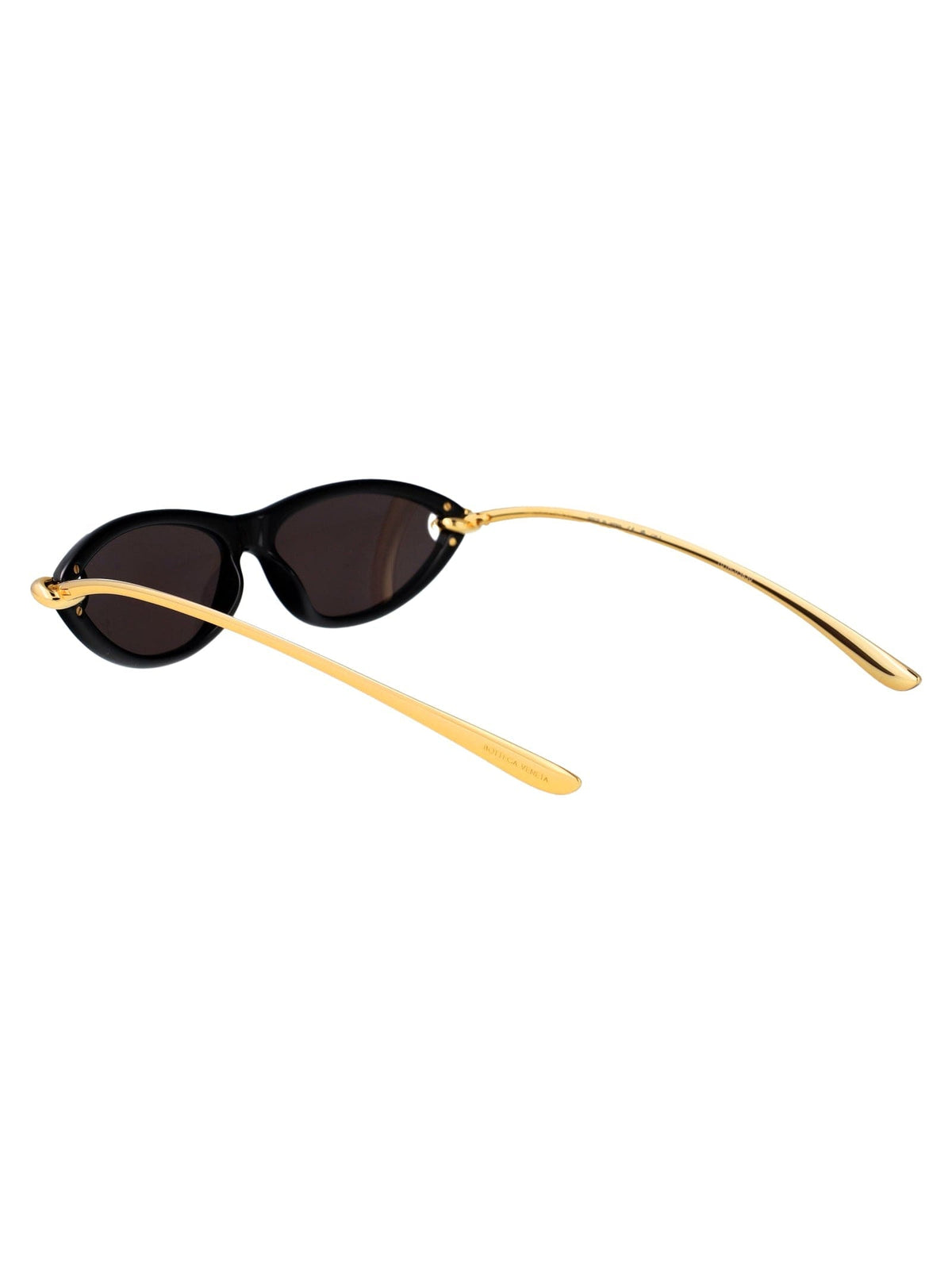 BOTTEGA VENETA Injected Fashion Sunglasses for Women | Banlieue91