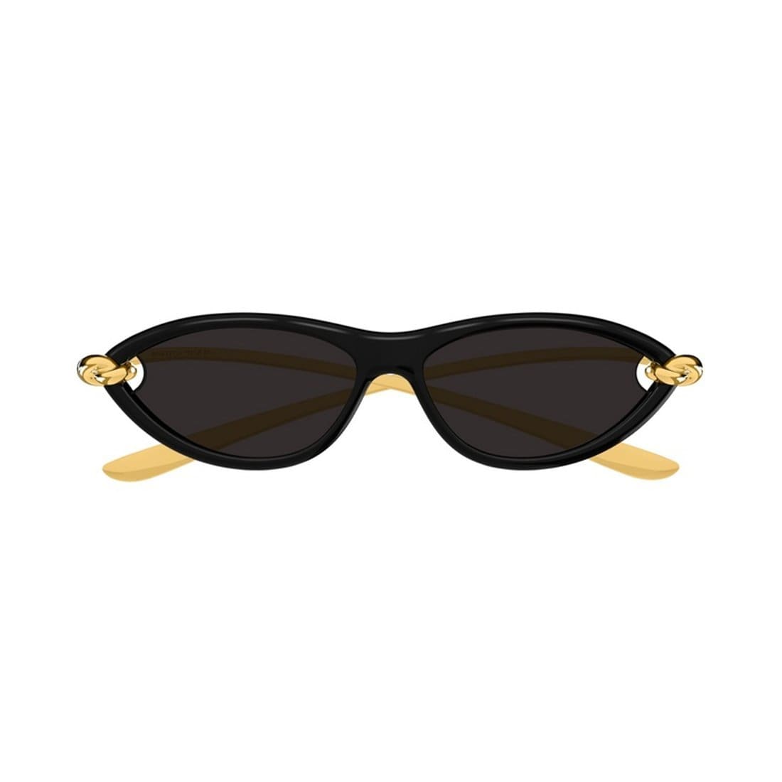 BOTTEGA VENETA Injected Fashion Sunglasses for Women | Banlieue91