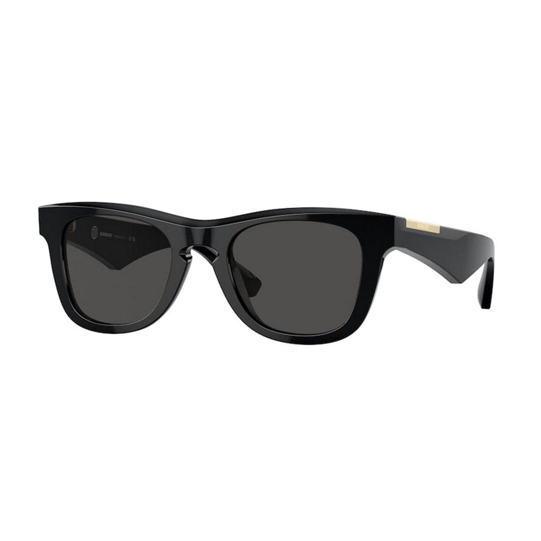 BURBERRY Stylish Men's Acetate Sunglasses - Modern Design | Banlieue91