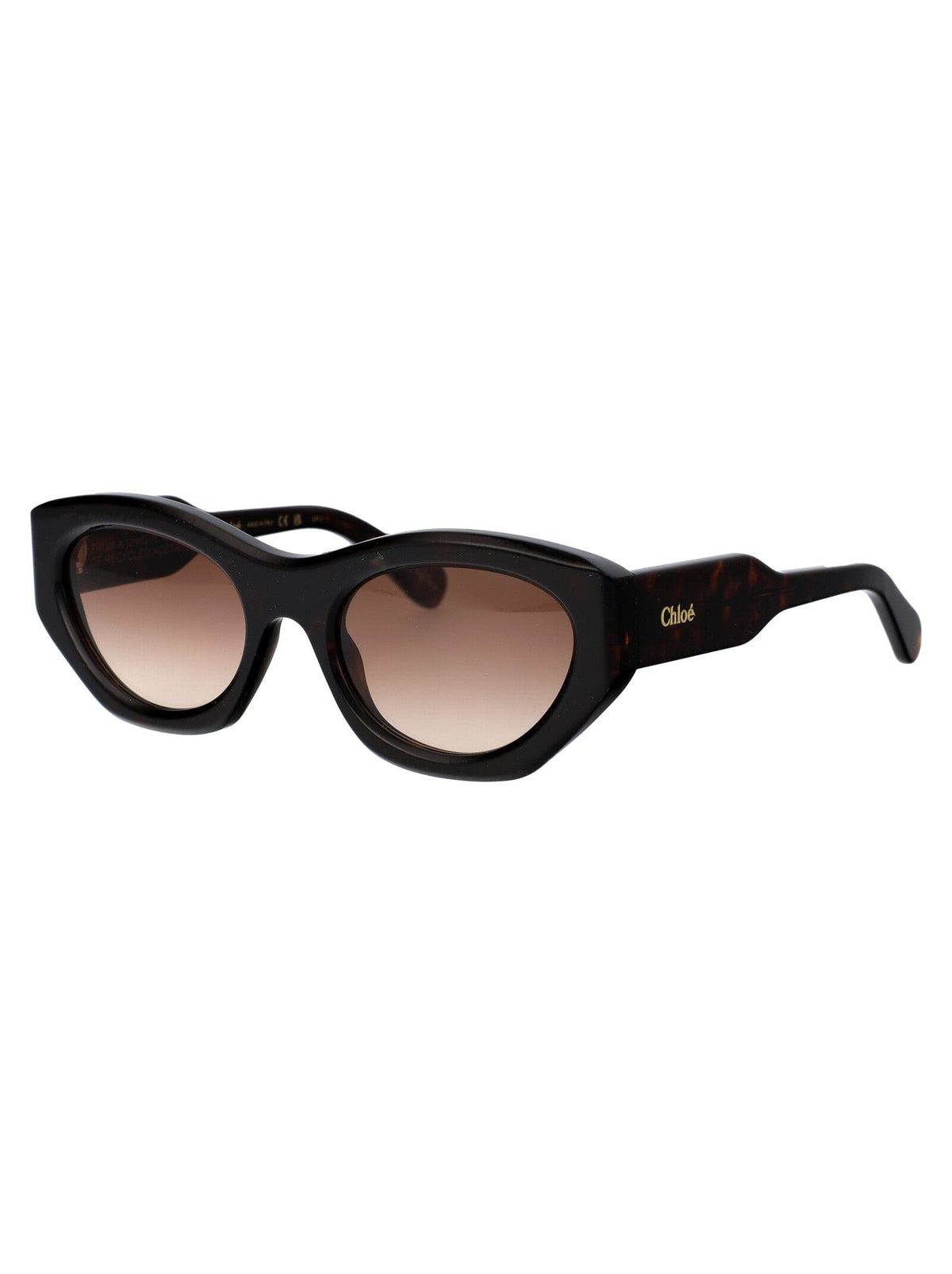 CHLOÉ Chic Acetate Sunglasses for Women - FW25 Collection | Banlieue91