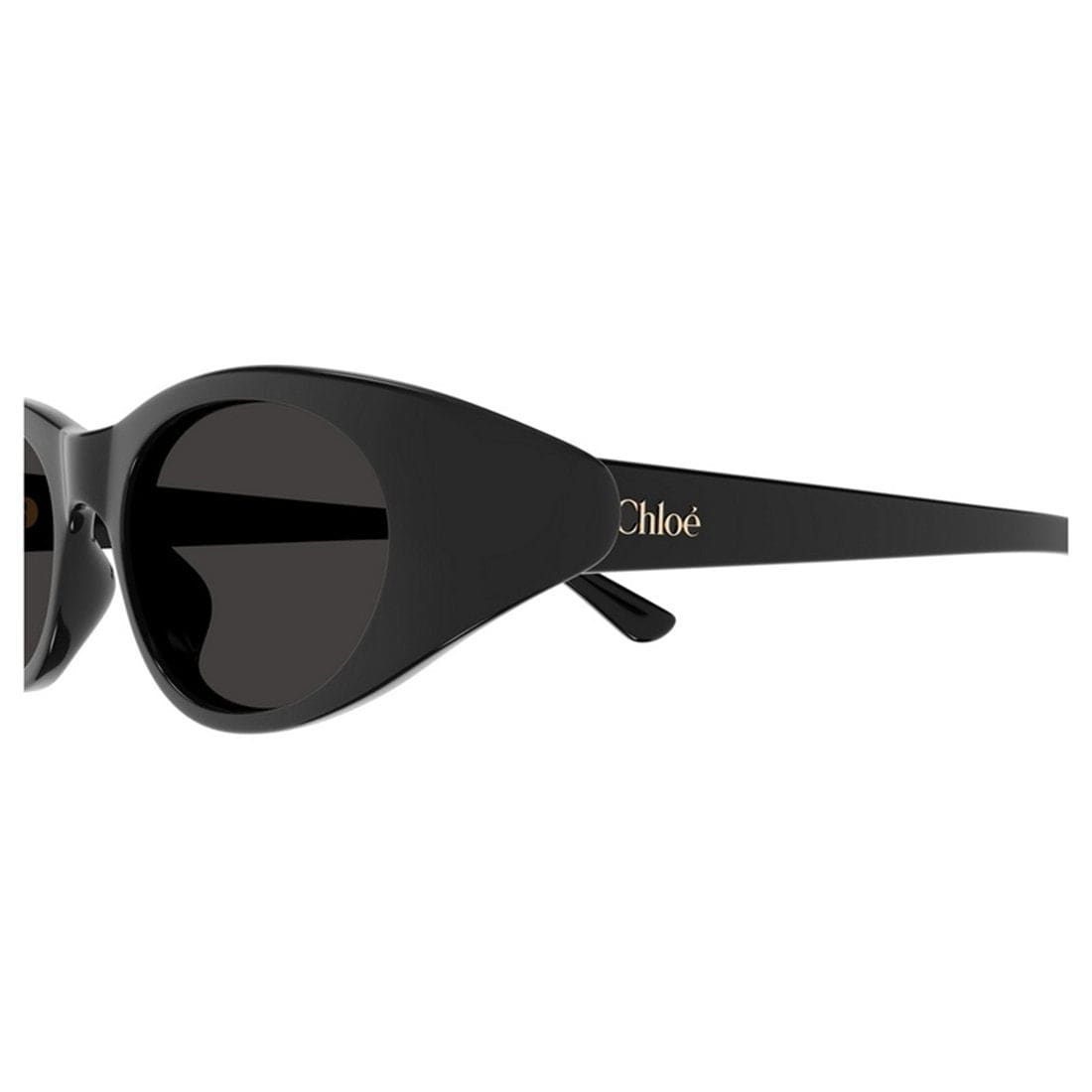 CHLOÉ Chic Women's Sunglasses | Banlieue91