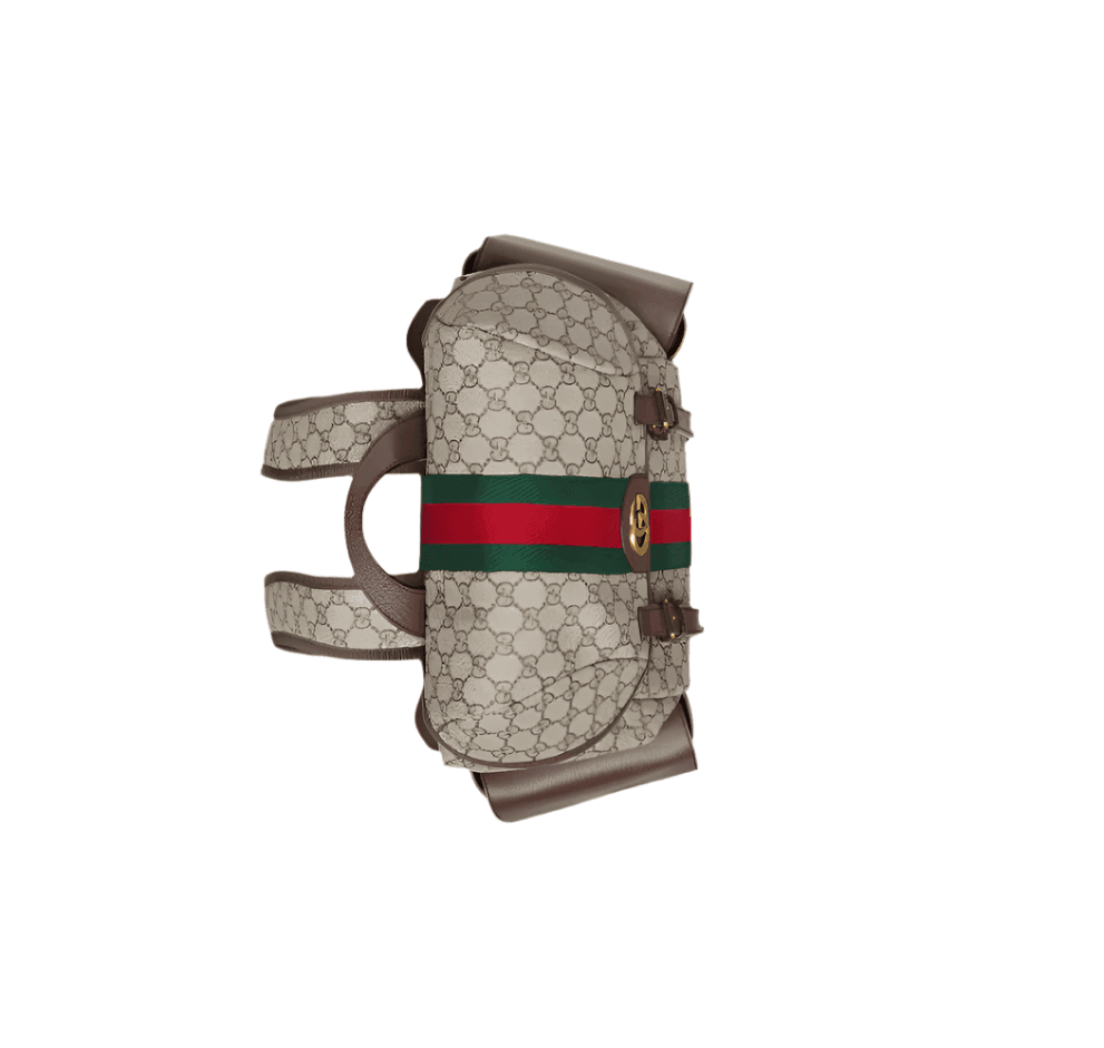 Gucci Ophidia GG Medium Backpack | Banlieue91