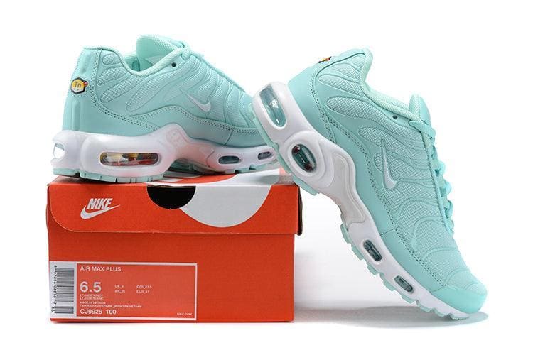 Nike Air Max Plus 'Igloo' | Banlieue91