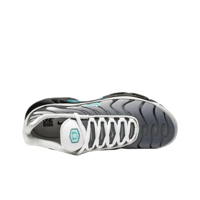 Nike Air Max Plus 'One Block Down Matte Silver' | Banlieue91
