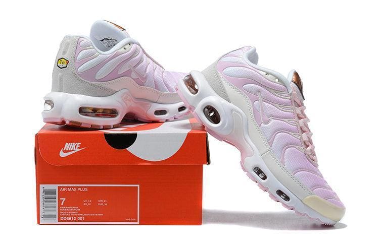 Nike Air Max Plus TN 'Vast Grey Metallic Copper' | Banlieue91