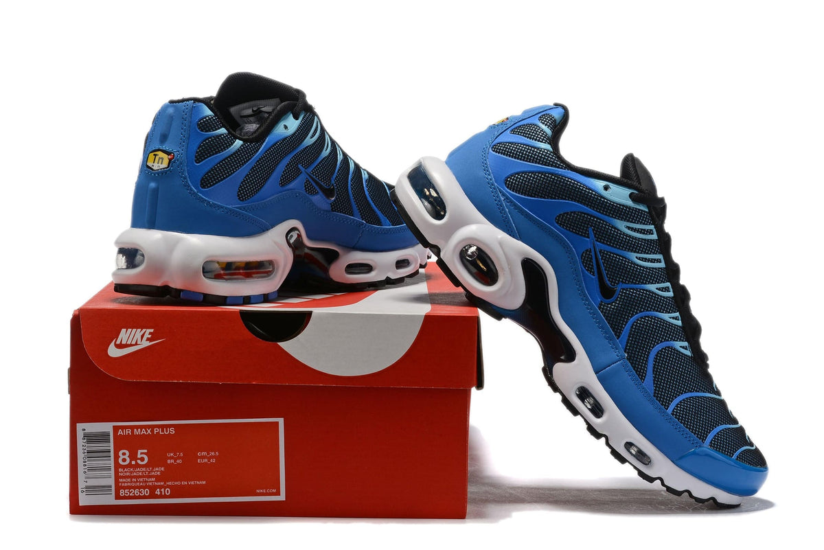 Nike Air Max Plus 'University Blue Black' | Banlieue91