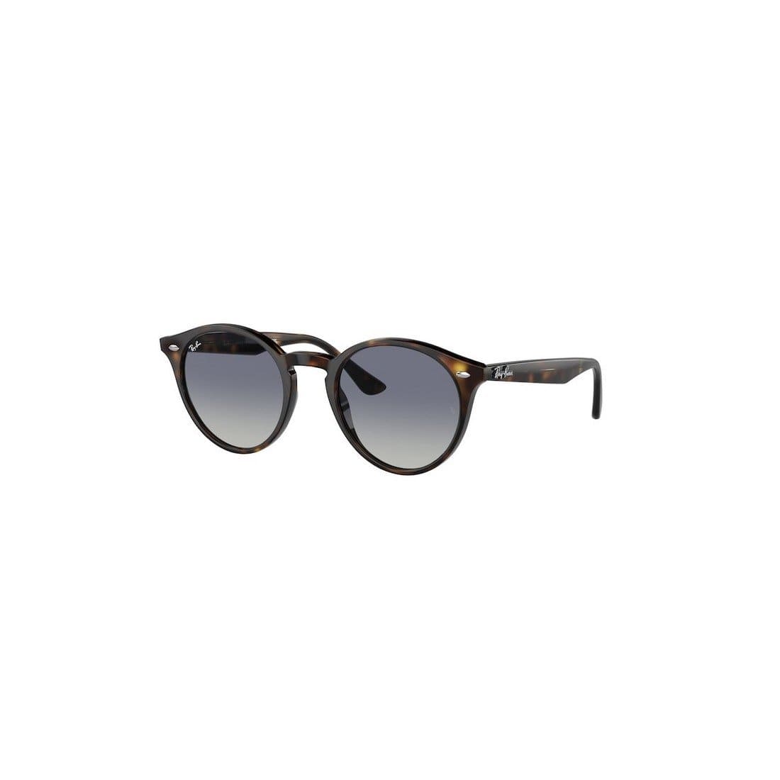 RAY-BAN Retro Sunglasses for Men | Banlieue91