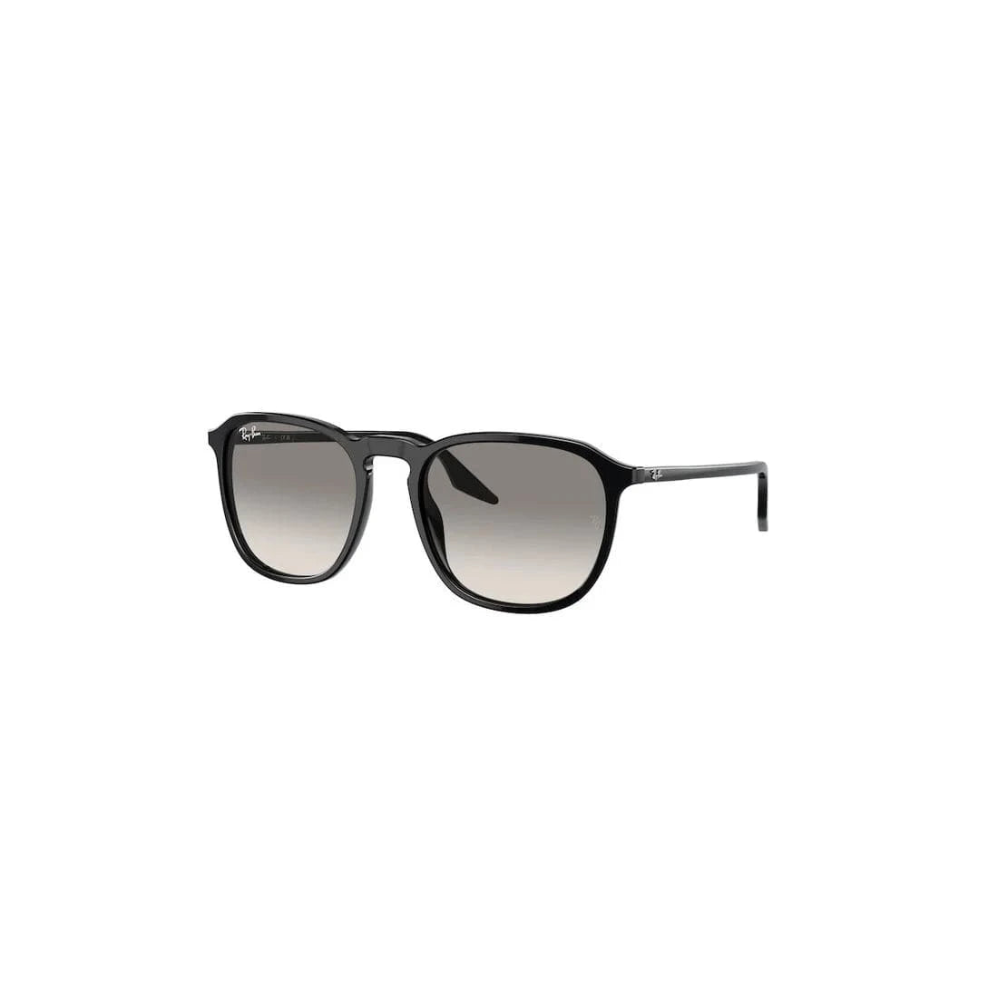 RAY-BAN Stylish Retro Round Sunglasses for Men | Banlieue91