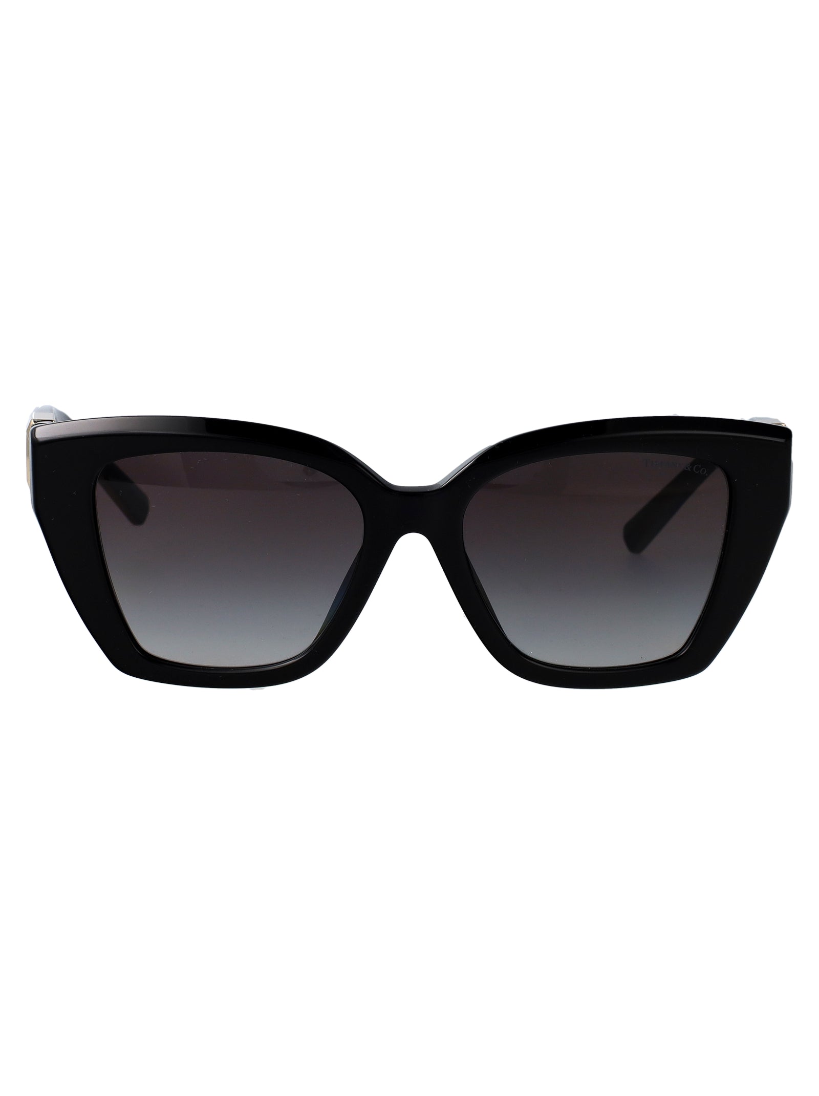 TIFFANY & CO Chic Acetate Sunglasses for Women - FW25 Collection - Banlieue91 -