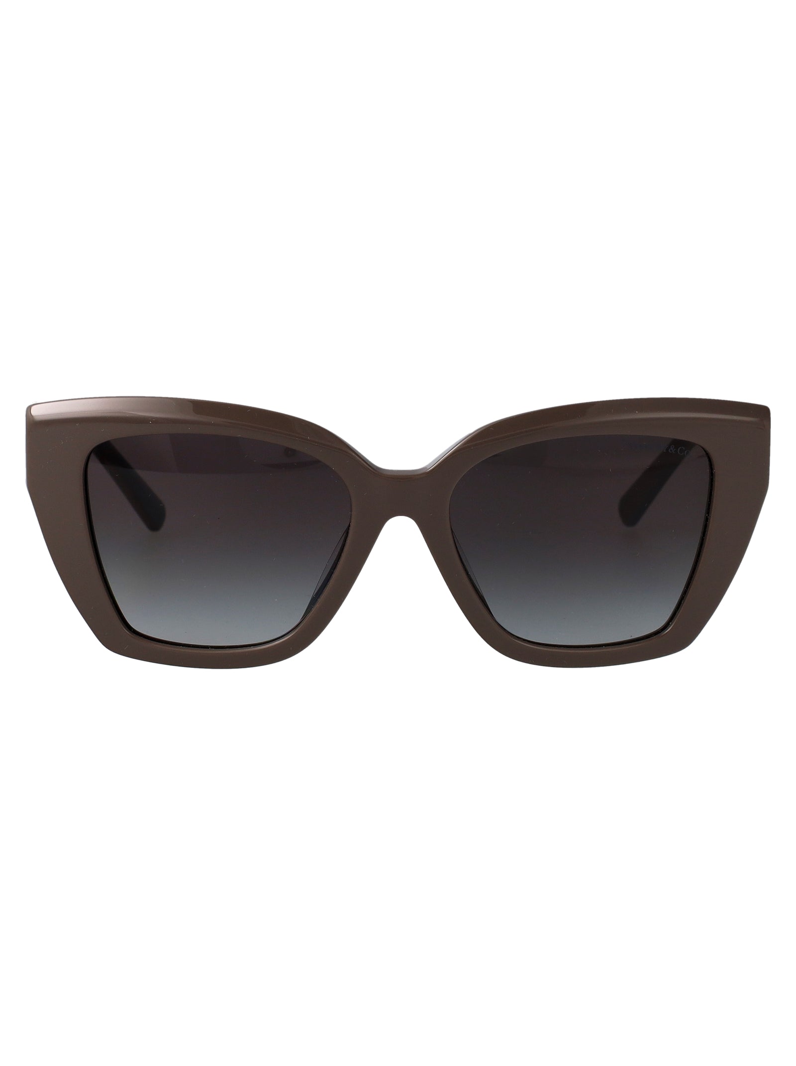 TIFFANY & CO Luxury Acetate Sunglasses for Women - Banlieue91 -