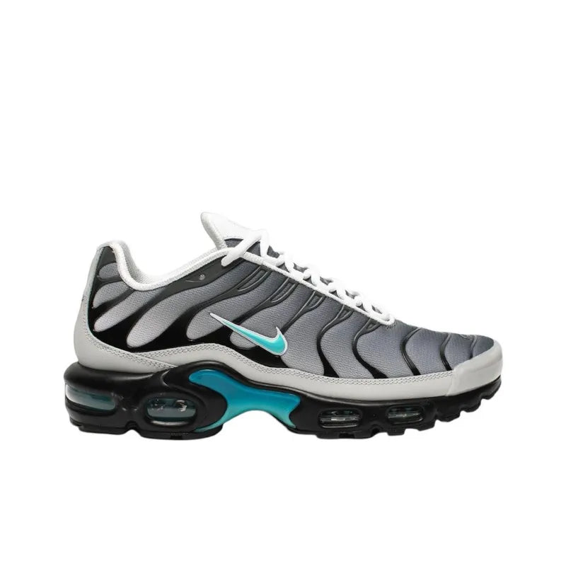 Nike Air Max Plus 'One Block Down Matte Silver' - Banlieue91 -