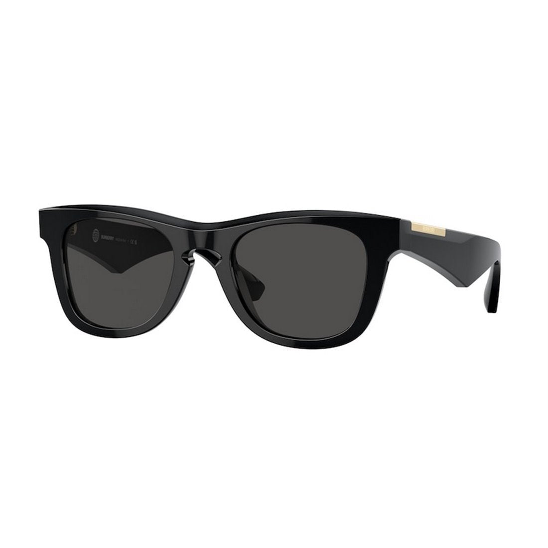 BURBERRY Stylish Men's Acetate Sunglasses - Modern Design - Banlieue91 -
