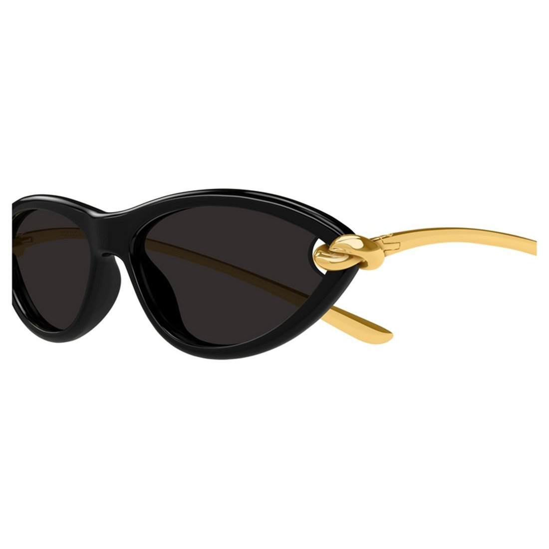 BOTTEGA VENETA Injected Fashion Sunglasses for Women - Banlieue91 -