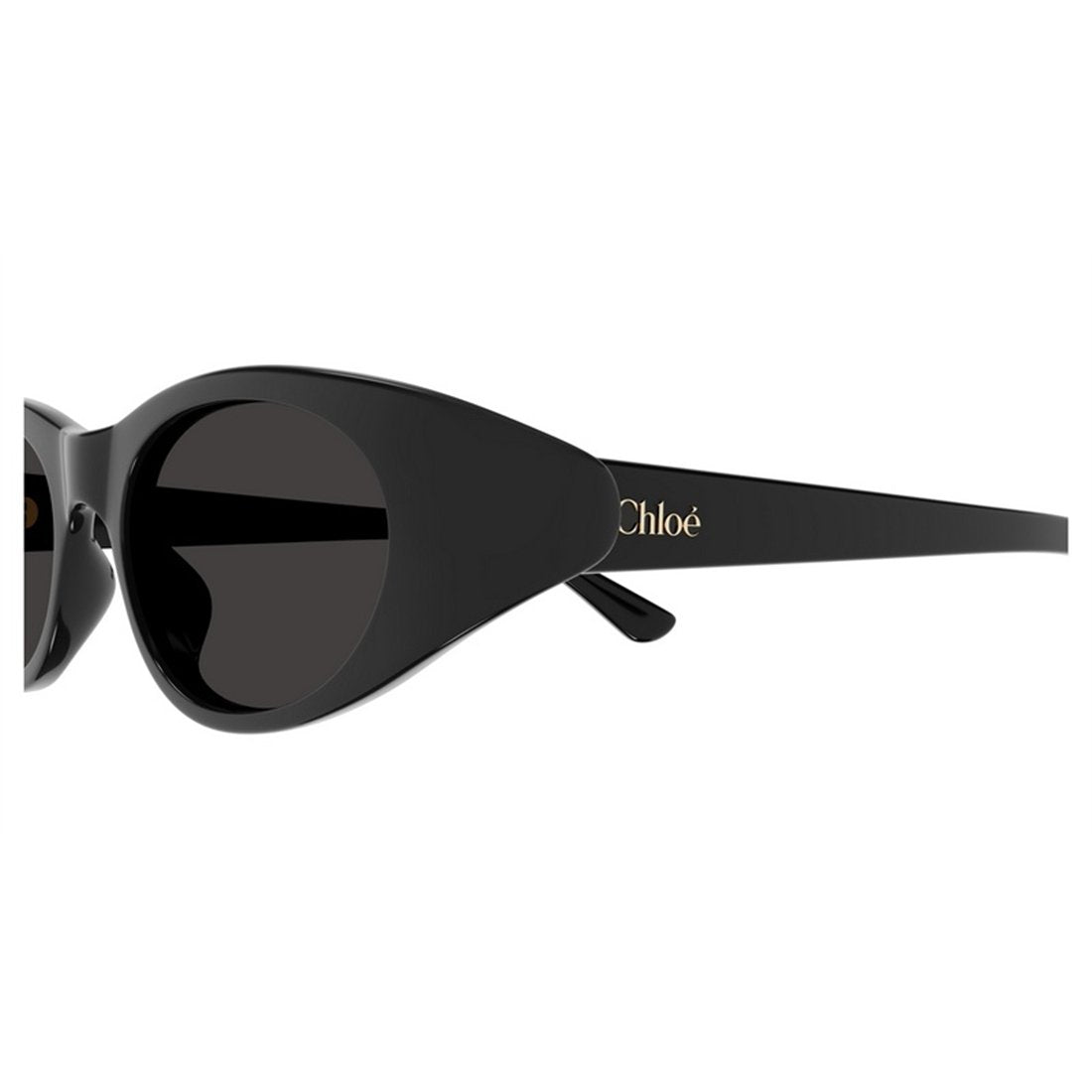 CHLOÉ Chic Women's Sunglasses - Banlieue91 -