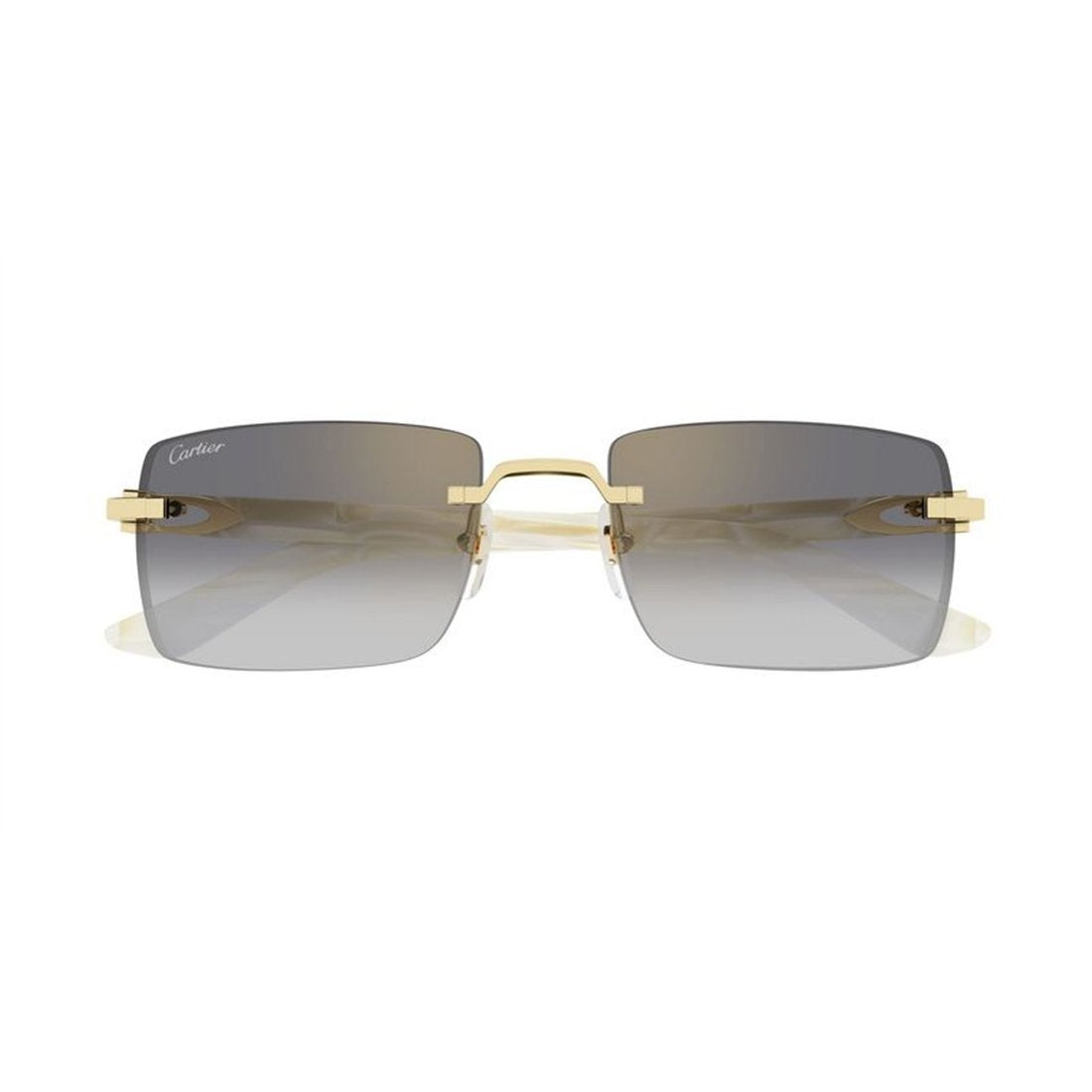 CARTIER CT0579S Mini Designer Sunglasses for Men - Banlieue91 -
