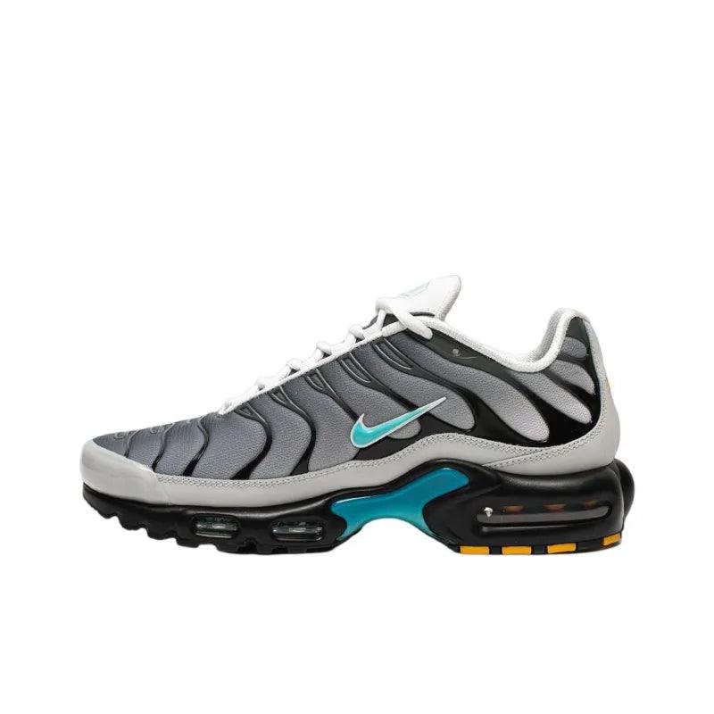 Nike Air Max Plus 'One Block Down Matte Silver' - Banlieue91