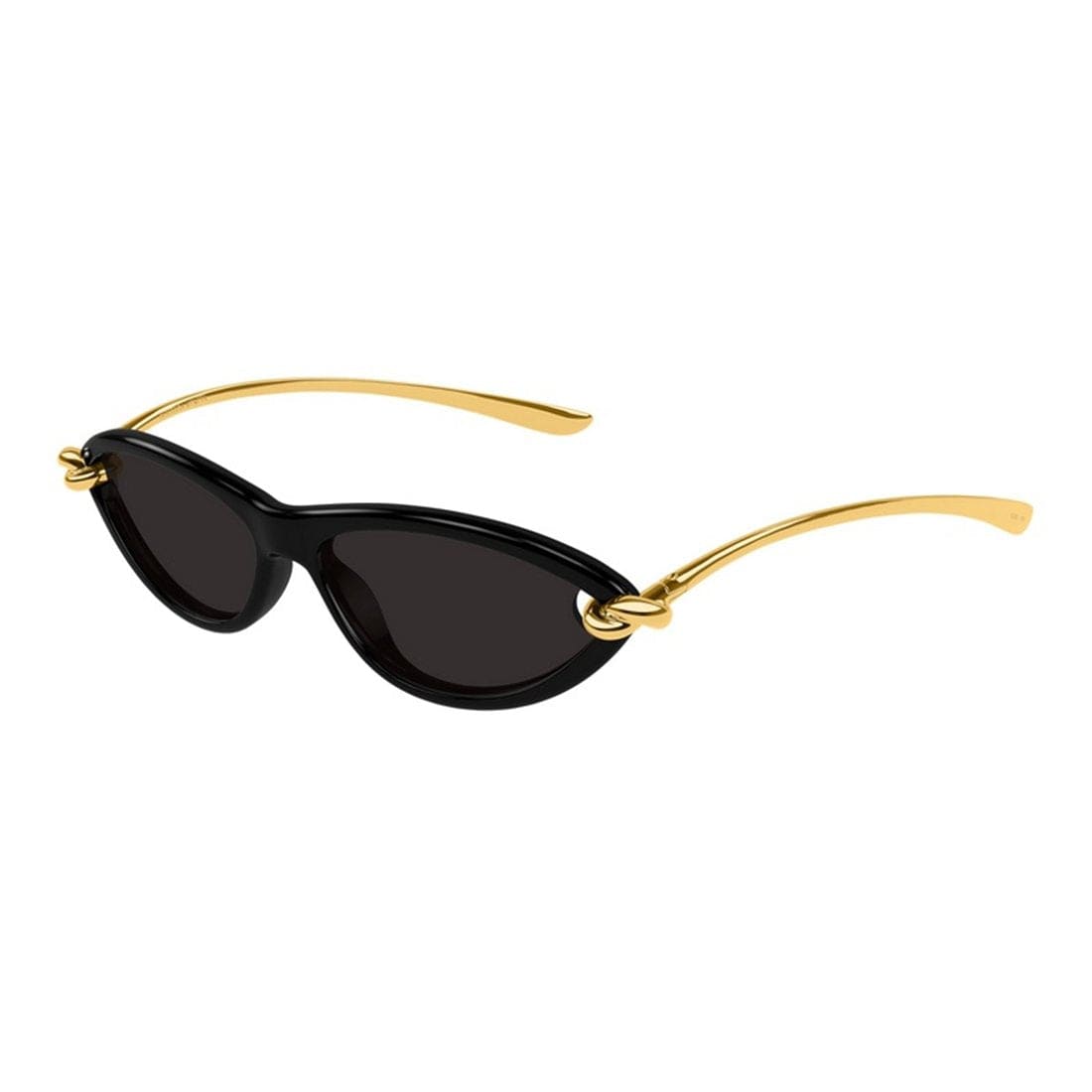 BOTTEGA VENETA Injected Fashion Sunglasses for Women | Banlieue91