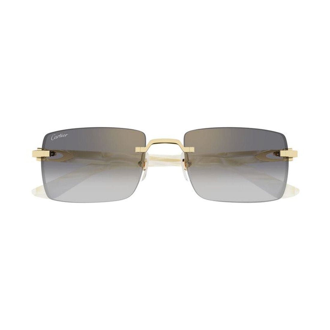 CARTIER CT0579S Mini Designer Sunglasses for Men | Banlieue91