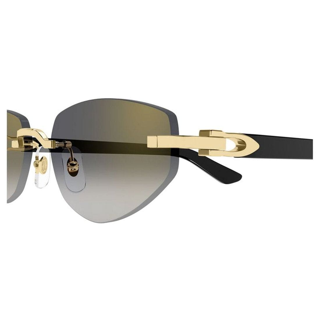 CARTIER Elegant Women's Fashion Sunglasses - CT0580S 001 | Banlieue91