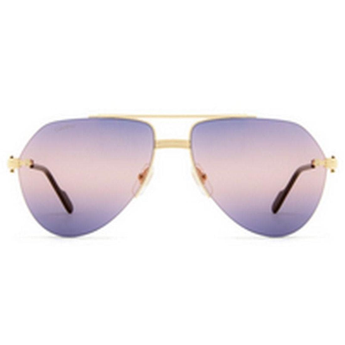 CARTIER Stylish Men's Sunglasses - CT0427S Mini Frame | Banlieue91