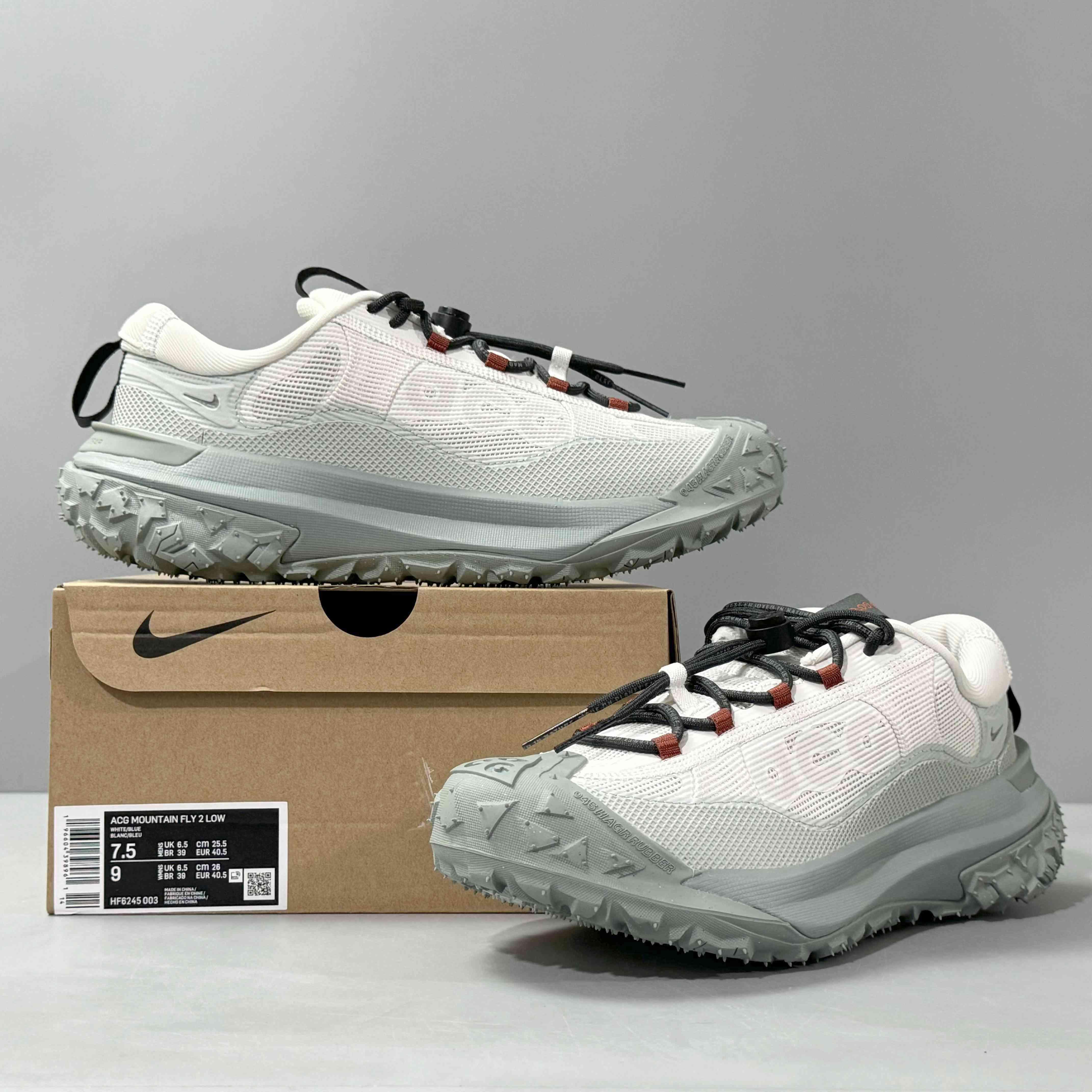 Nike ACG Mountain Fly 2 Low Gore-Tex 'Phantom Light Silver' - Banlieue91