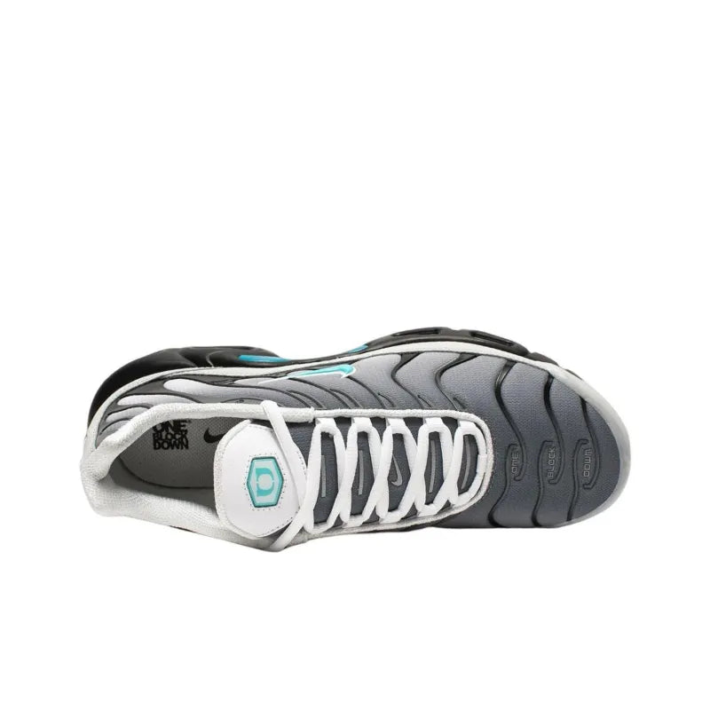 Nike Air Max Plus 'One Block Down Matte Silver' - Banlieue91 -