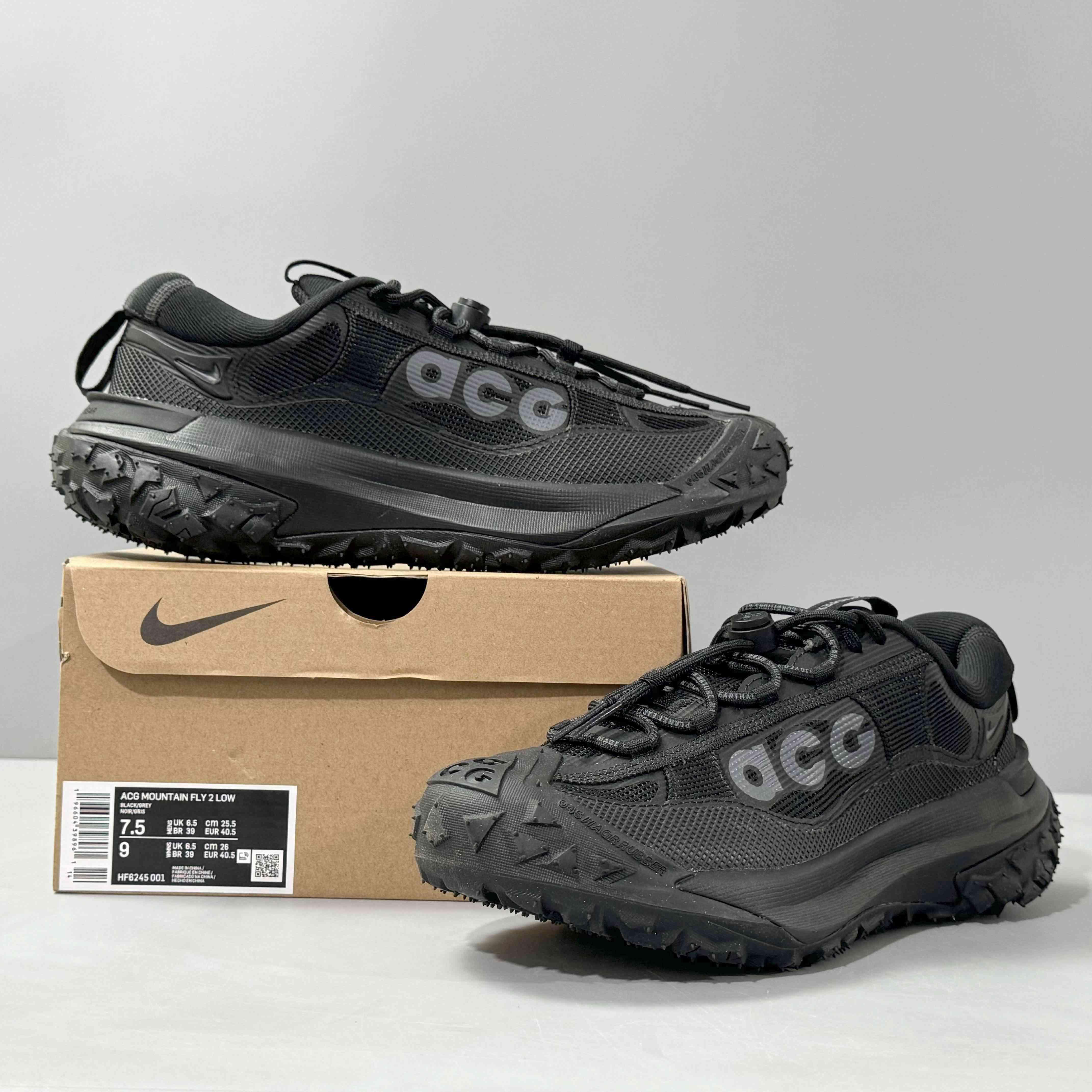 Nike ACG Mountain Fly 2 'Gore-Tex SE 'Dark Smoke Grey' - Banlieue91