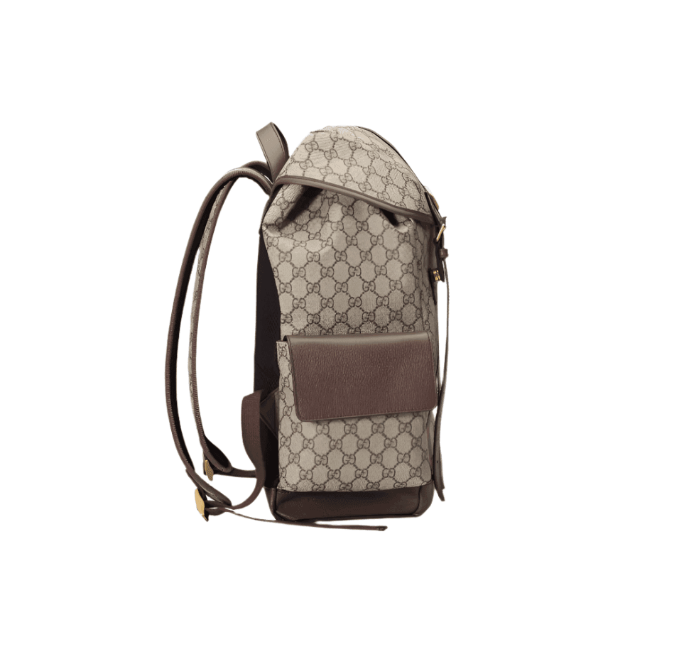 Gucci Ophidia GG Medium Backpack | Banlieue91