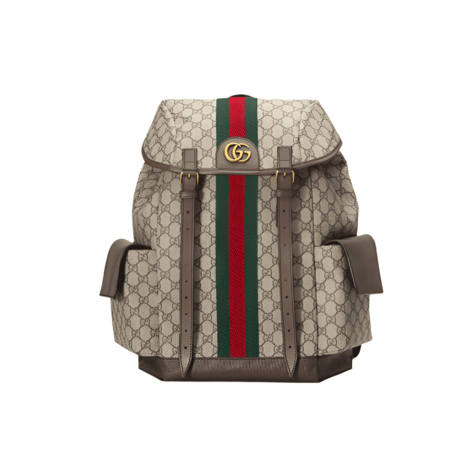 Gucci Ophidia GG Medium Backpack | Banlieue91