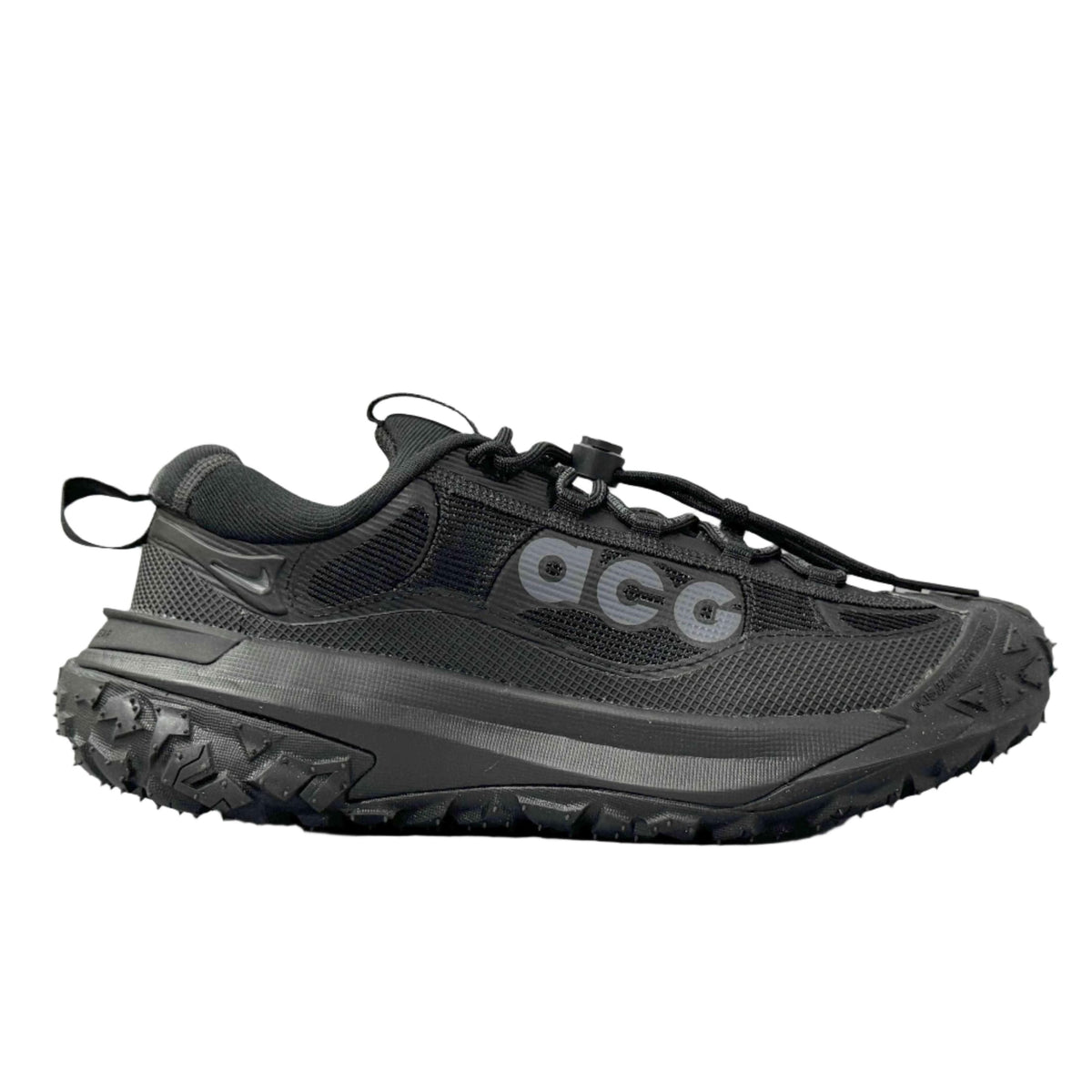 Nike ACG Mountain Fly 2 'Gore-Tex SE 'Dark Smoke Grey' | Banlieue91