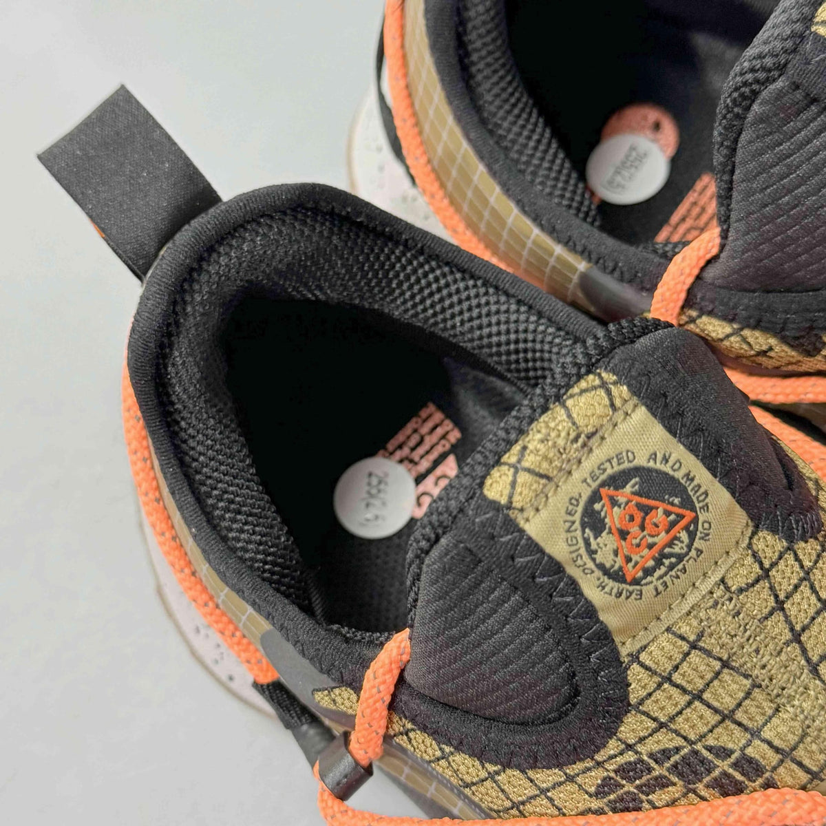 Nike ACG Mountain Fly 2 'Gore-Tex SE 'Hazel Rush' | Banlieue91