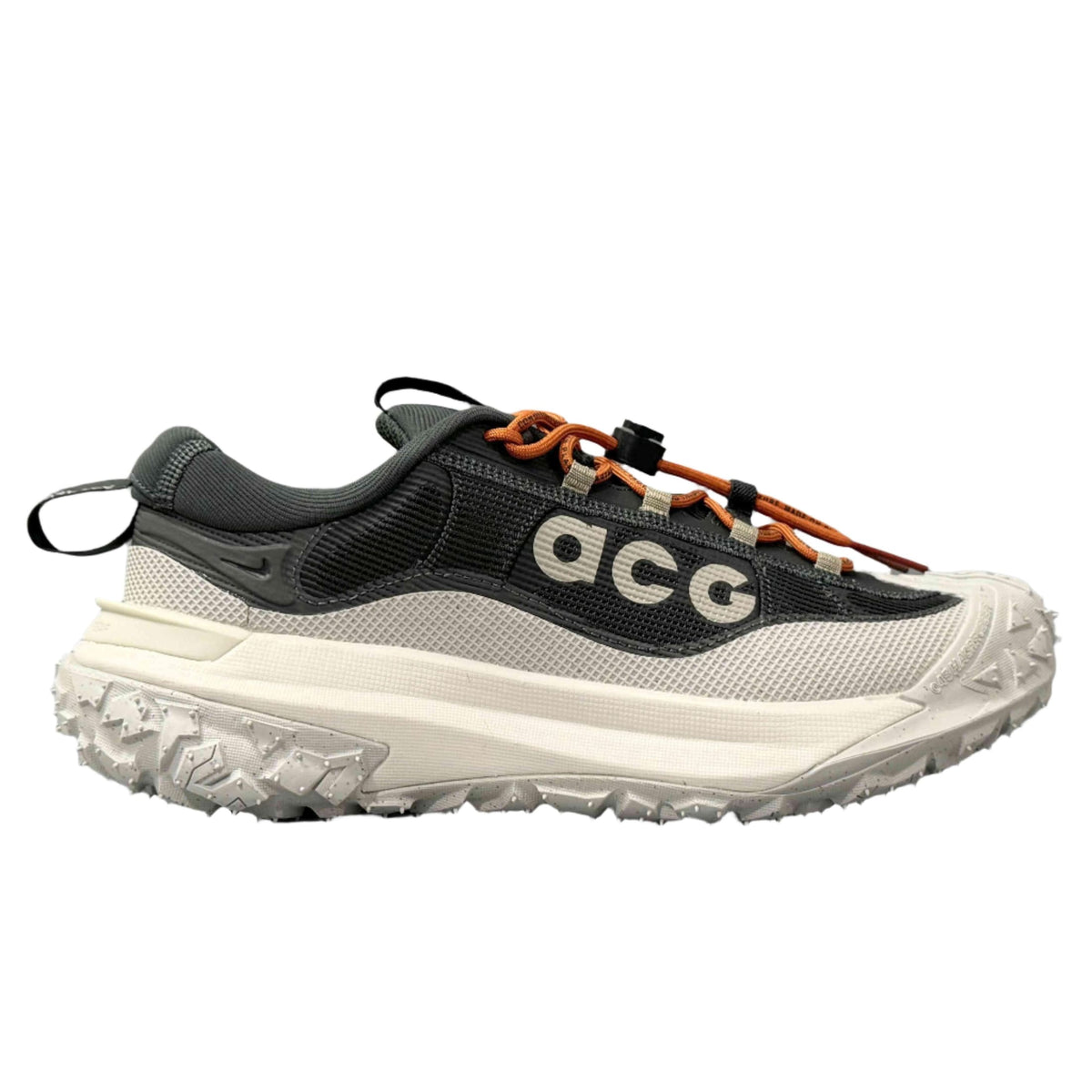 Nike ACG Mountain Fly 2 Low Gore-Tex 'Dark Smoke Grey' | Banlieue91