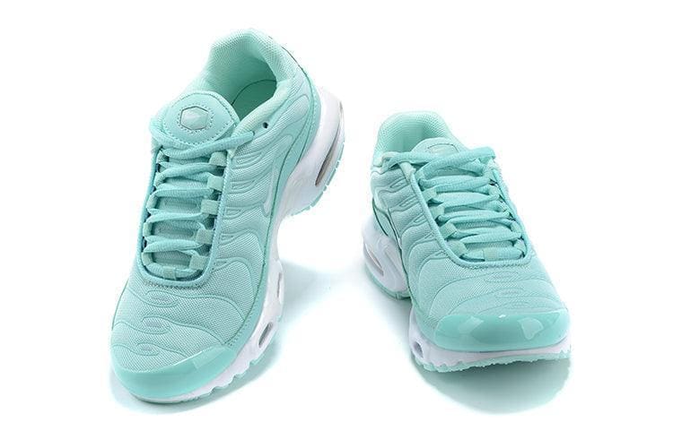 Nike Air Max Plus 'Igloo' | Banlieue91