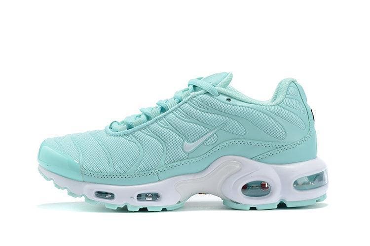 Nike Air Max Plus 'Igloo' | Banlieue91