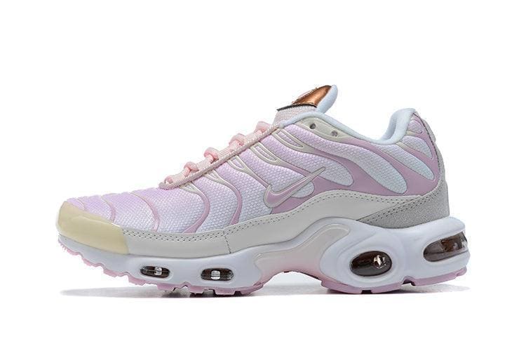 Nike Air Max Plus TN 'Vast Grey Metallic Copper' | Banlieue91