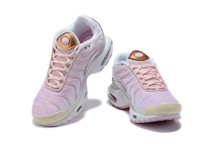 Nike Air Max Plus TN 'Vast Grey Metallic Copper' | Banlieue91