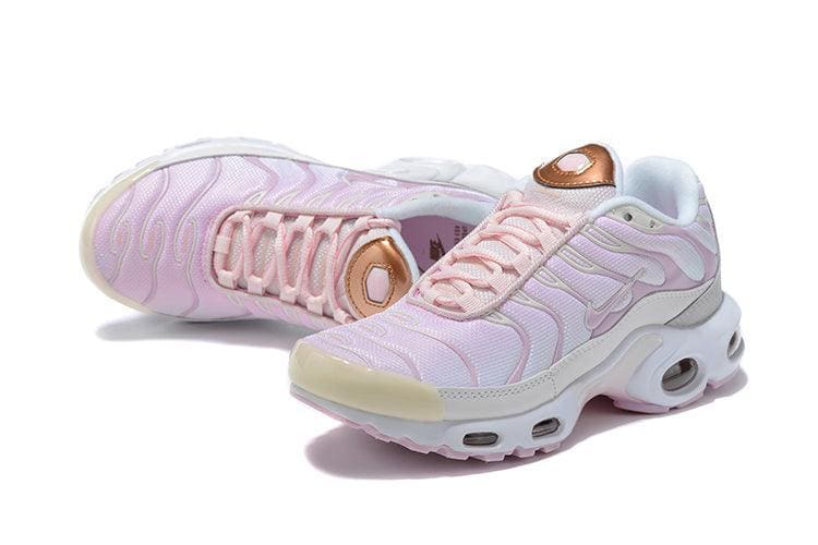 Nike Air Max Plus TN 'Vast Grey Metallic Copper' | Banlieue91