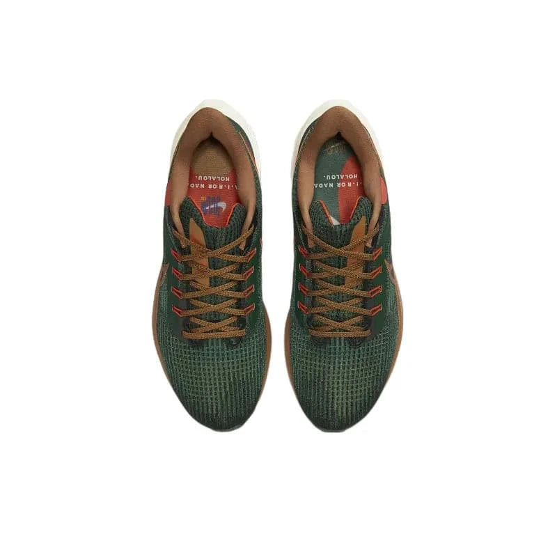 Nike Air Zoom Pegasus 39 A.I.R. Hola Lou | Banlieue91