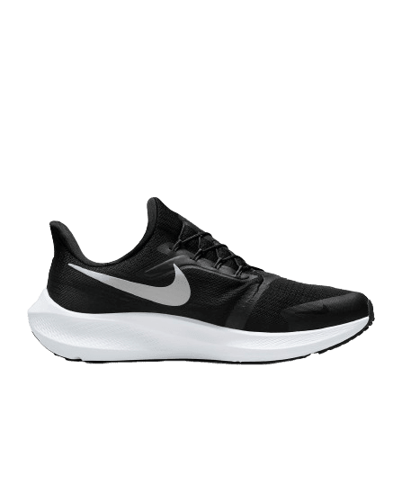 Nike Pegasus FlyEase | Banlieue91