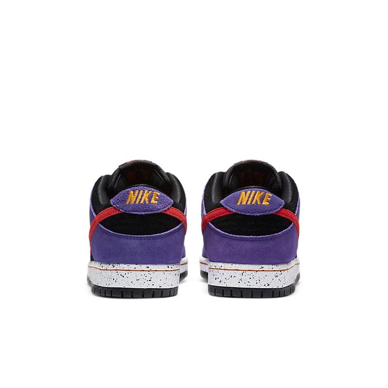 Nike SB Dunk Low ACG Terra | Banlieue91