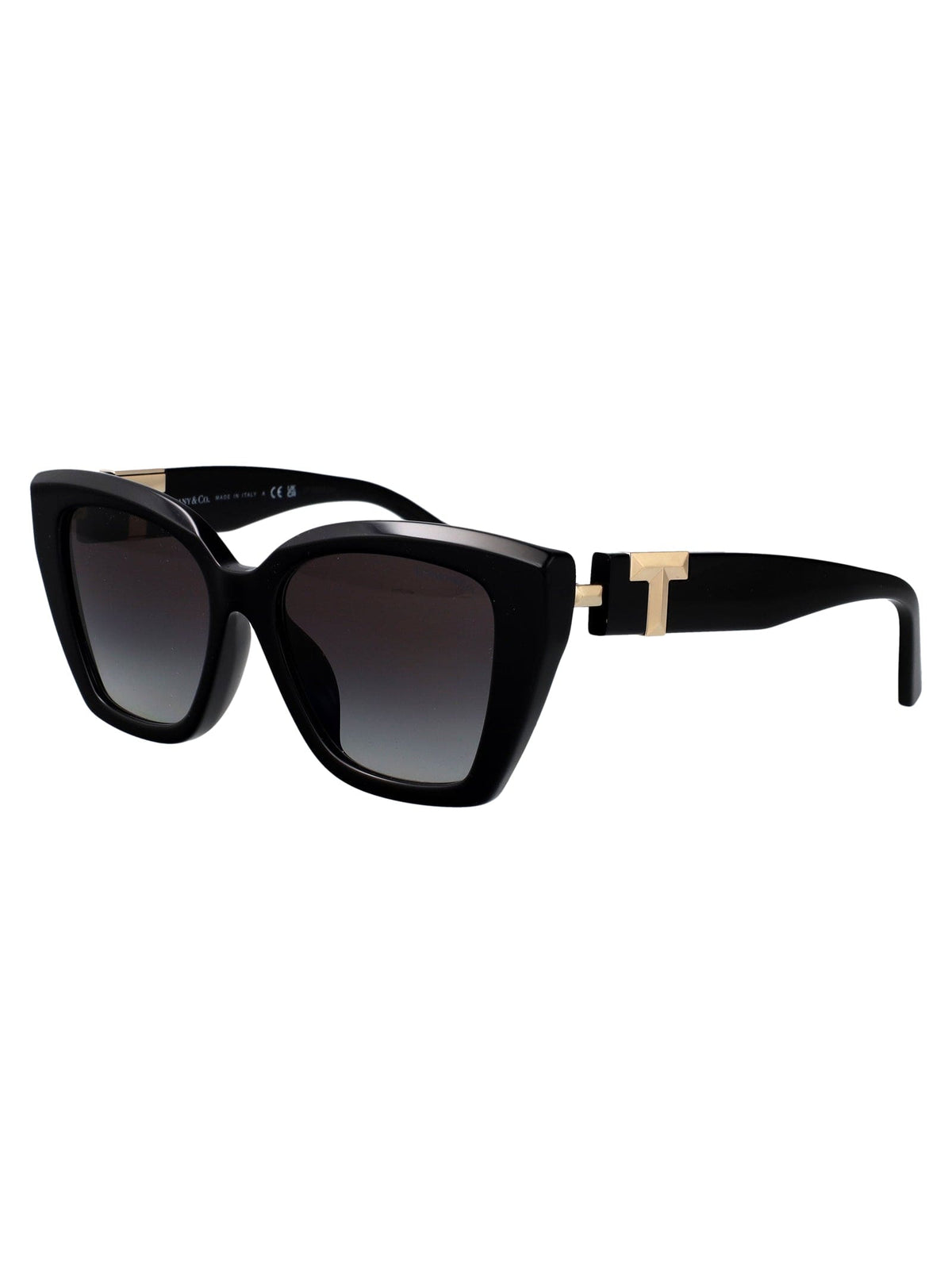 TIFFANY & CO Chic Acetate Sunglasses for Women - FW25 Collection | Banlieue91