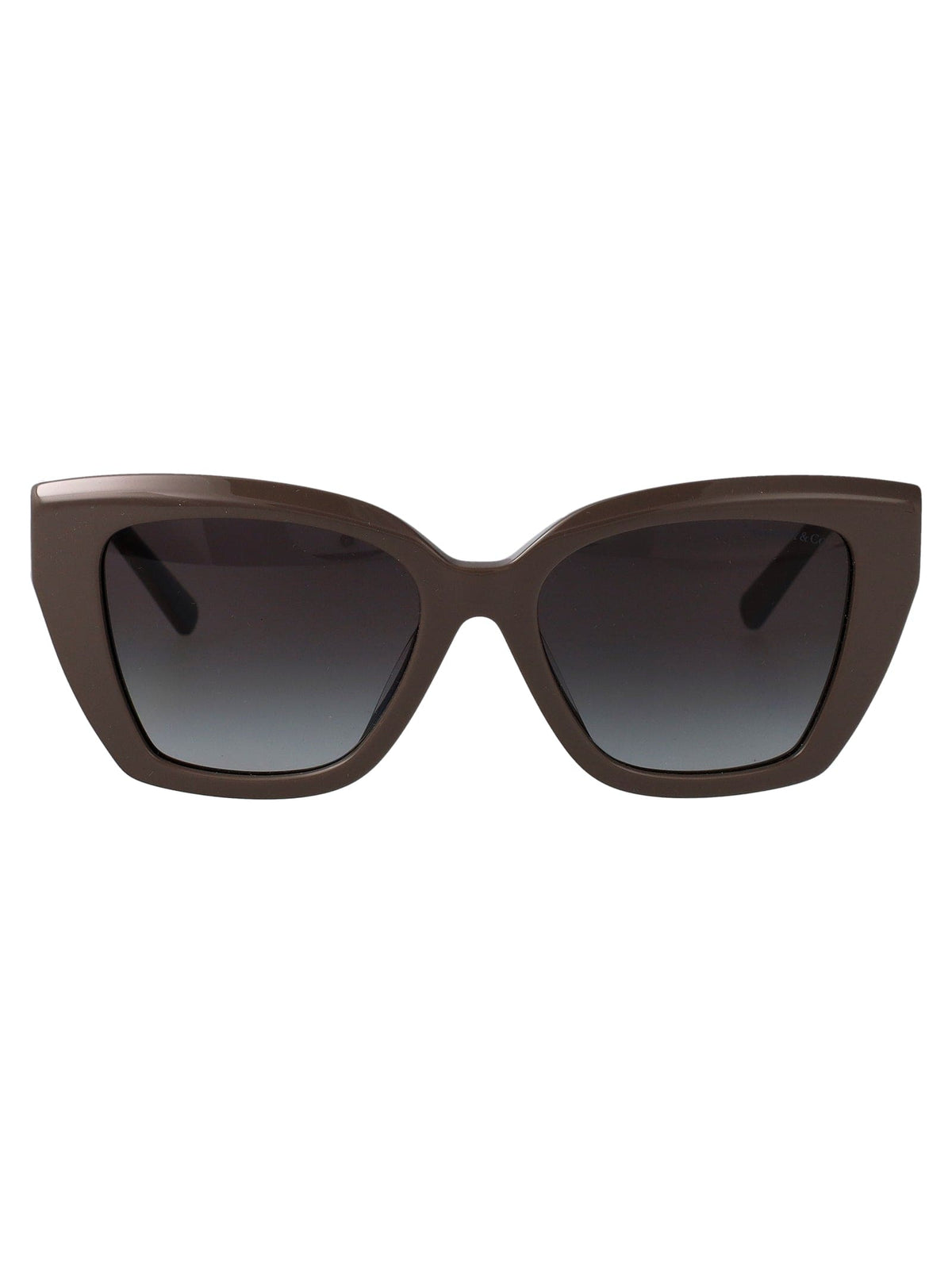 TIFFANY & CO Luxury Acetate Sunglasses for Women | Banlieue91