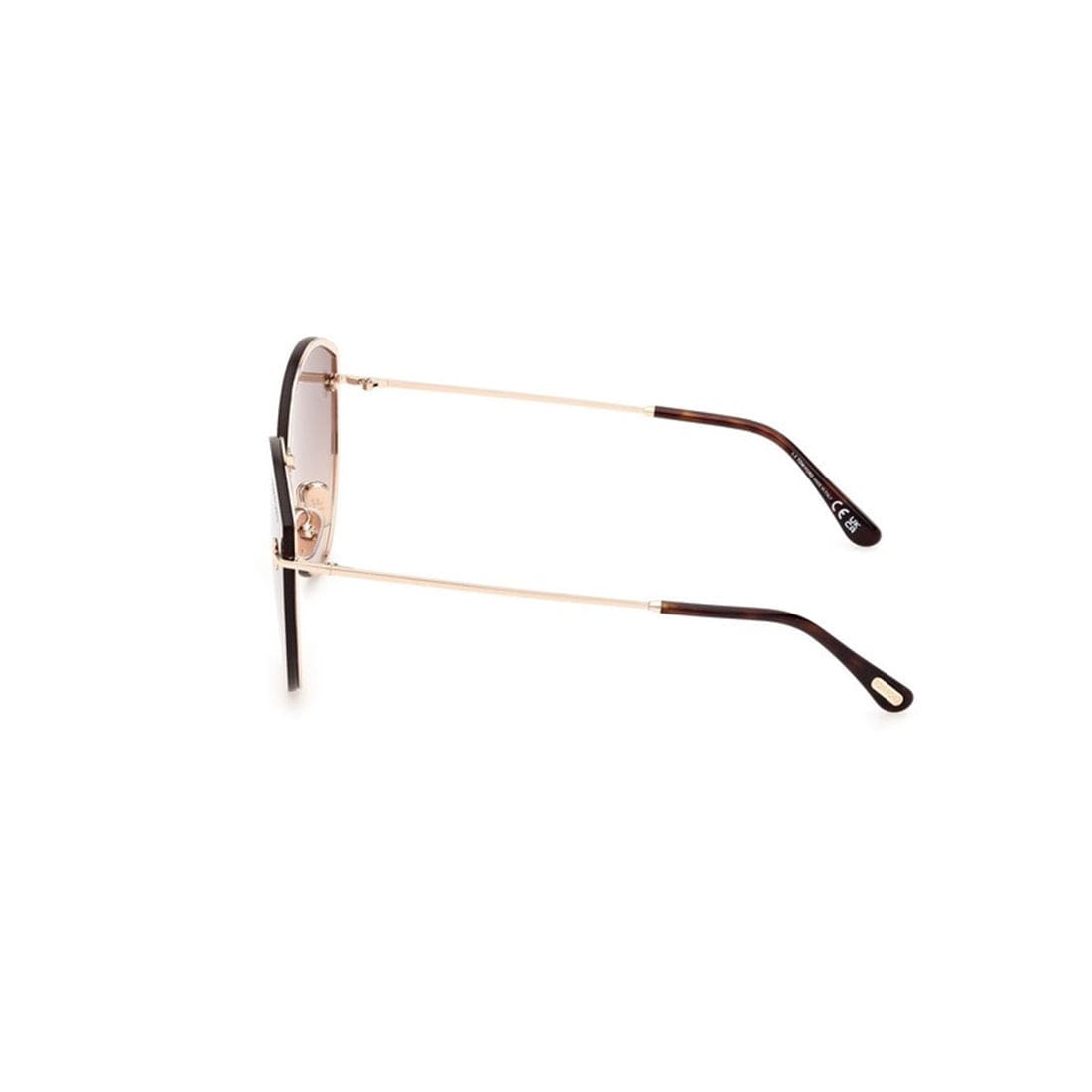 TOM FORD Evangeline FT1106 Sunglasses for Men | Banlieue91